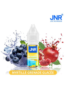 JNR Blueberry Pomegranate Ice / 10Pcs