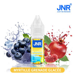 JNR Blueberry Pomegranate Ice / 10Pcs