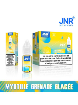 JNR Blueberry Pomegranate Ice / 10Pcs