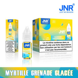 JNR Blueberry Pomegranate Ice / 10Pcs