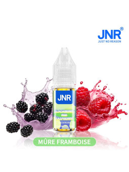 JNR Blackberry Red Raspberry / 10Pcs