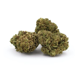 PURP Haschill