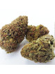 Flower Lover Cannatonic