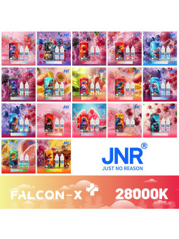 PUFF Falcon-X Jnr