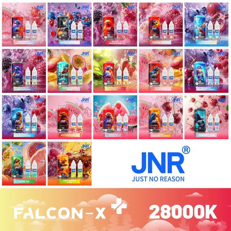 PUFF Falcon-X Jnr