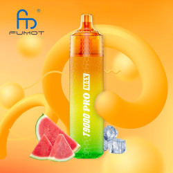 RANDM Watermelon Ice 9000 Puffs - T9000 Pro Max Fumot
