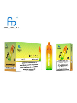 RANDM Watermelon Ice 9000 Puffs - T9000 Pro Max Fumot