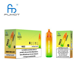 RANDM Watermelon Ice 9000 Puffs - T9000 Pro Max Fumot