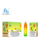 RANDM Watermelon Ice 9000 Puffs - T9000 Pro Max Fumot