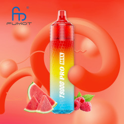 RANDM Raspberry Watermelon 9000 Puffs - T9000 Pro Max Fumot