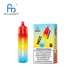 RANDM Raspberry Watermelon 9000 Puffs - T9000 Pro Max Fumot