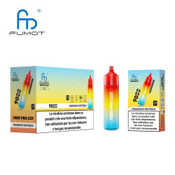 RANDM Raspberry Watermelon 9000 Puffs - T9000 Pro Max Fumot