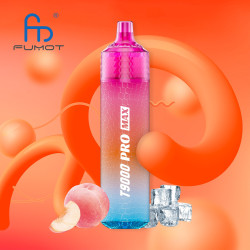 RANDM Summer Peach Ice 9000 Puffs - T9000 Pro Max Fumot