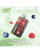 ARTERY Blueberry Pomegranate Ice 15000 Puffs
