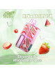 ARTERY Strawberry Watermelon Ice 15000 Puffs