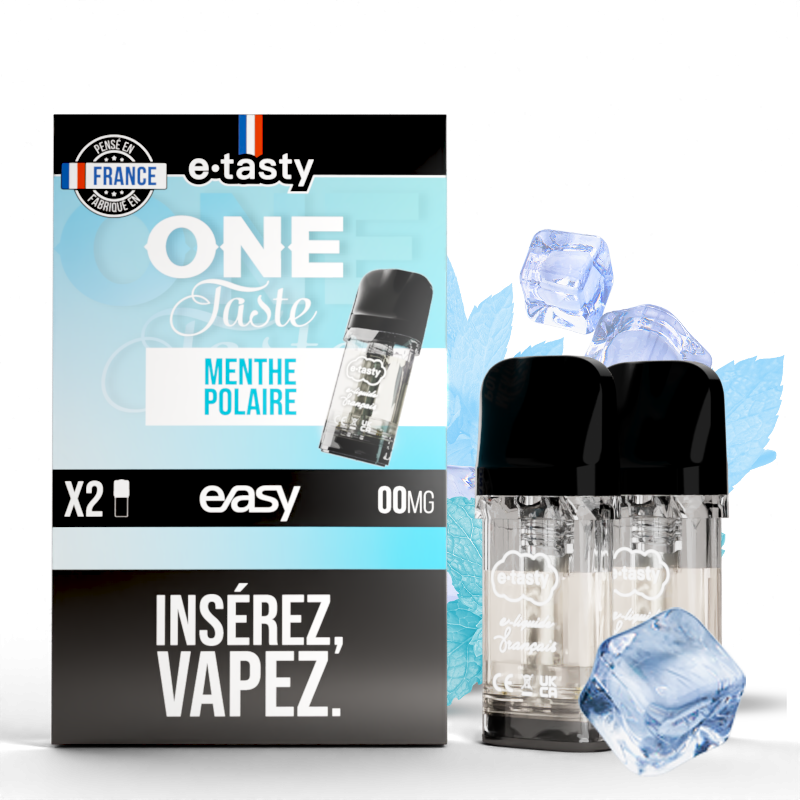 RECHARGE ONE TASTE MENTHE POLAIRE / 2pcs - EASY