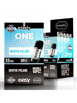 RECHARGE ONE TASTE MENTHE POLAIRE / 2pcs - EASY