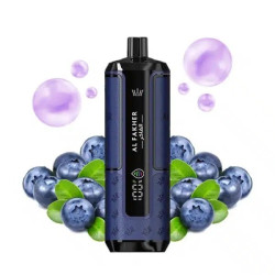 AL FAKHER Blueberry Gum 30K