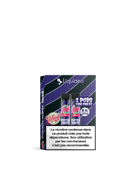 Cartouche Myrtille Glacée / 2pcs - WPUFF 1800