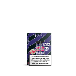 Cartouche Myrtille Glacée / 2pcs - WPUFF 1800