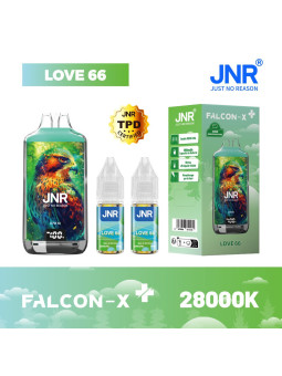 PUFF Falcon-X Jnr
