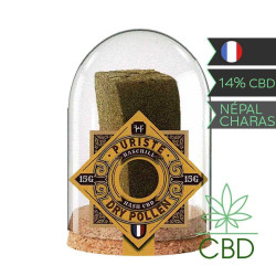 HASCHILL Dry Pollen 15G / 4Pcs Hash Cbd Puriste