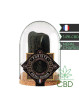 HASCHILL Népal Charas 15G / 4Pcs Hash Cbd Puriste