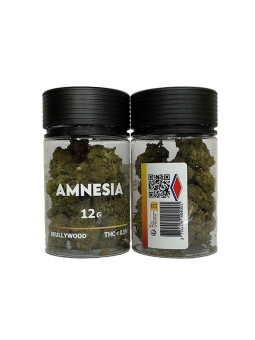 HAZE Beullywood Good Cbd