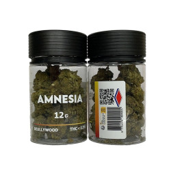 HAZE Beullywood Good Cbd