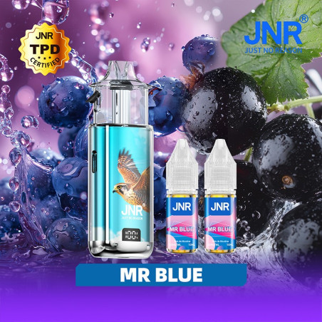 Mr Blue - FALCON NEXUS 40K JNR