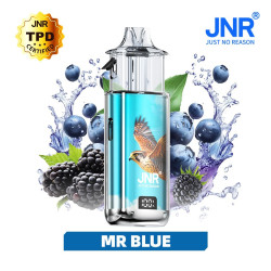 Mr Blue - FALCON NEXUS 40K JNR