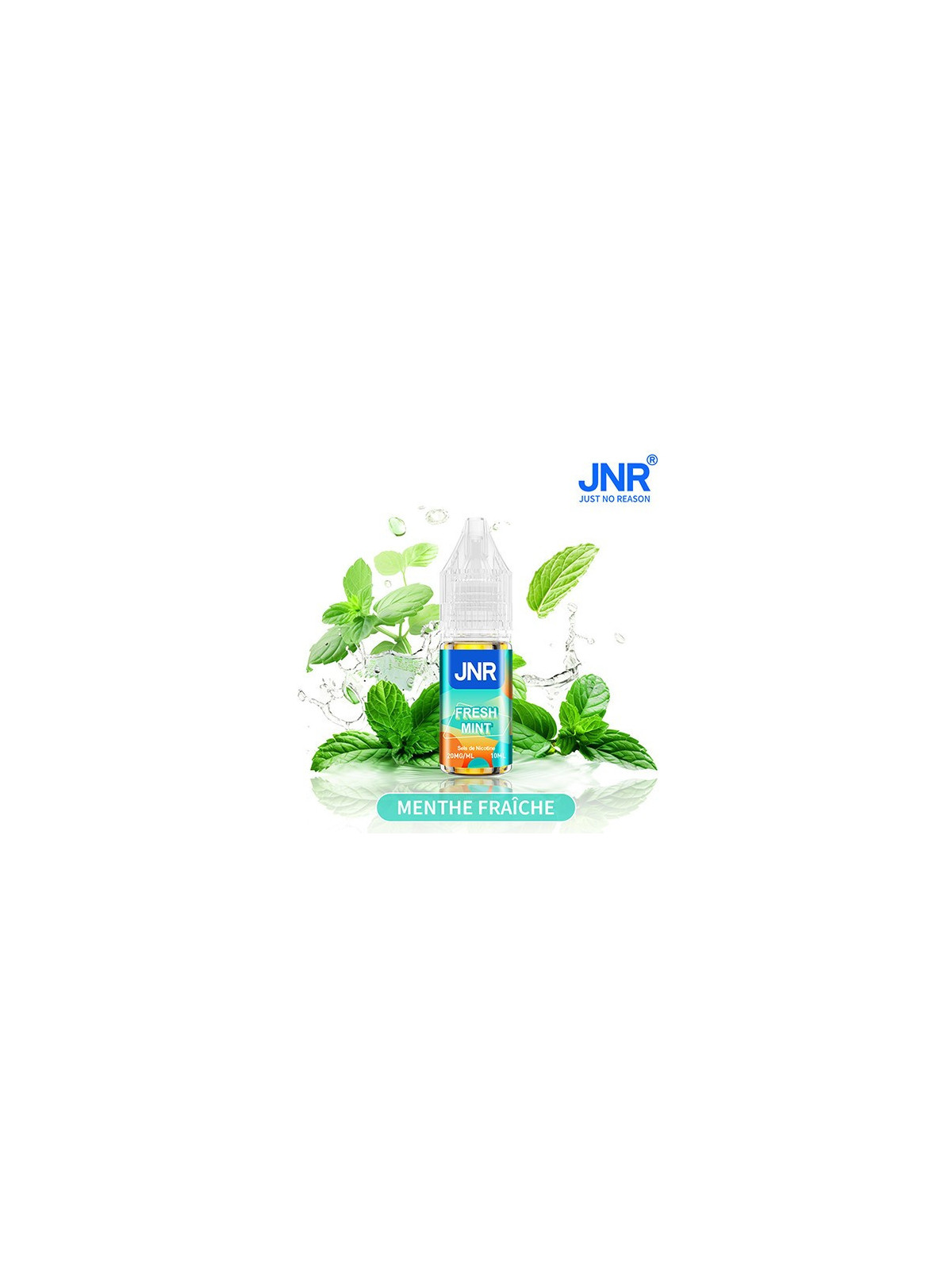 Fresh Mint - Menthe fraîche