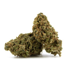 BUBBA KUSH - VRAC 100G