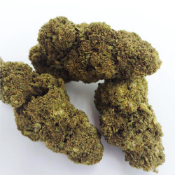 GORILLA - VRAC 100G