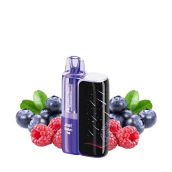 BLUEBERRY SOUR RASPBERRY 50000 PUFFS - STELLARC JNR