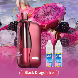 DRAGON ICE Whale 38K Jnr