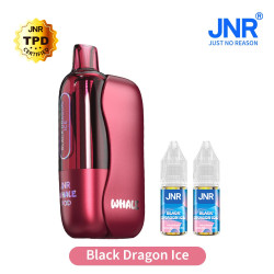 DRAGON ICE Whale 38K Jnr