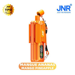 JNR Mango Pineapple