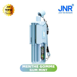 JNR Gun Mint