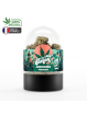 Fleur Amnésia 2.5G - SUNSET CBD HEMPLAB