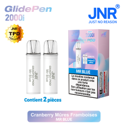 Cartouche Mr Blue / 2pcs 2000 PUFFS - GLIDE PEN JNR