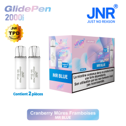 Cartouche Mr Blue / 2pcs 2000 PUFFS - GLIDE PEN JNR Boite de regroupement