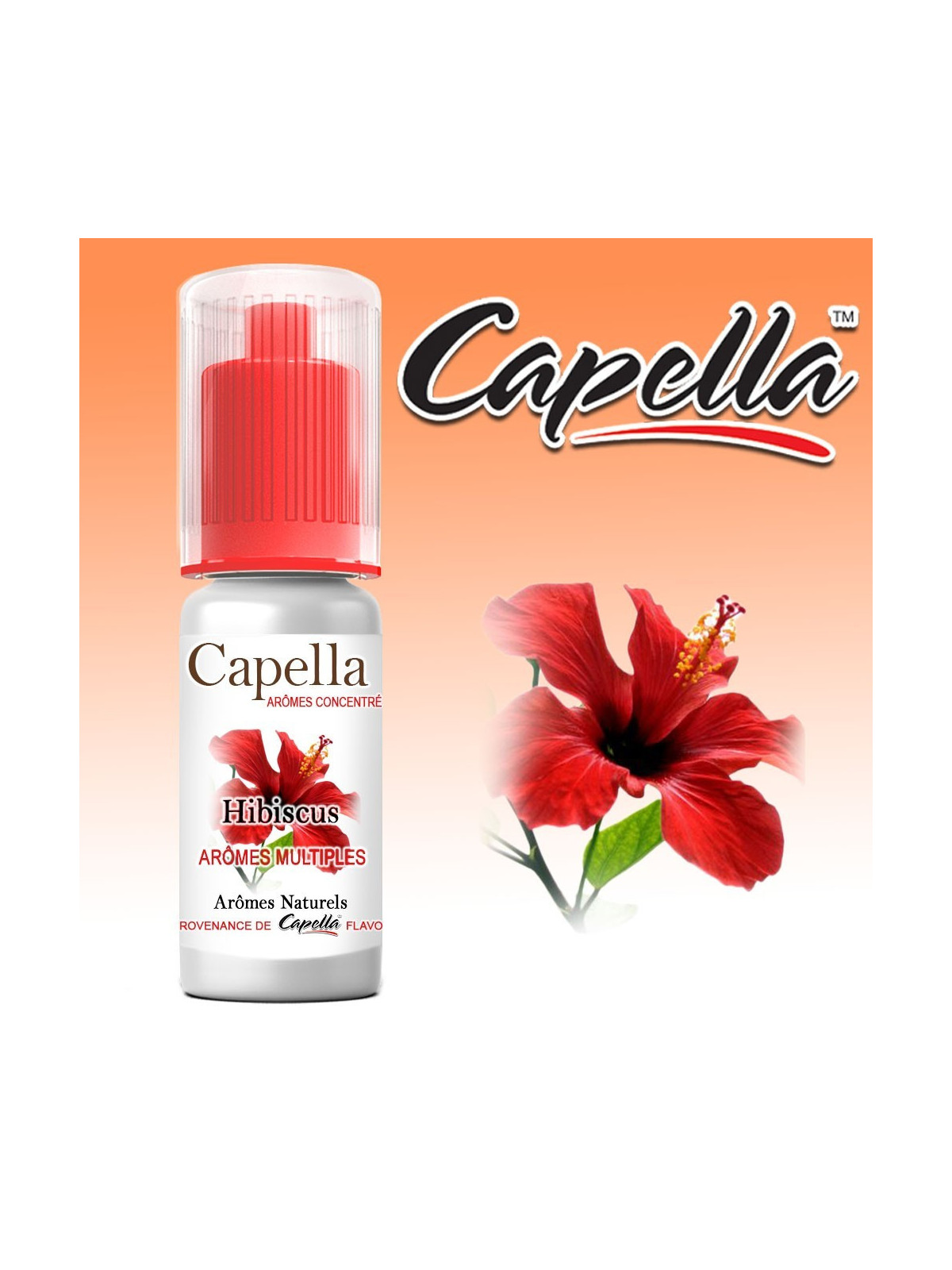 CONCENTRÉ HIBISCUS - CAPELLA-DIY - Do It Yourself-alavape.com