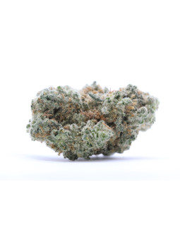 Fleurs White Widow CBN - VRAC 100G CBD