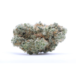 Fleurs White Widow CBN - VRAC 100G CBD