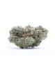 Fleurs White Widow CBN - VRAC 100G CBD