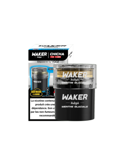 EHUKA Cartouche Menthe Glaciale - Waker Yooz