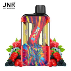 00Mg - Zpluse 42K - Jnr