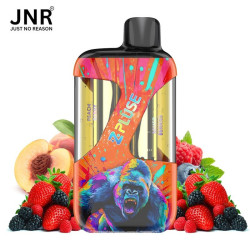 00Mg - Zpluse 42K - Jnr