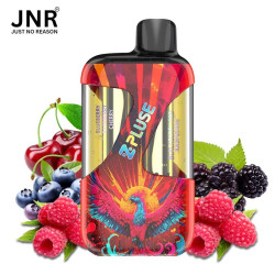 00Mg - Zpluse 42K - Jnr